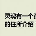 灵魂有一个孤寂的住所（关于灵魂有一个孤寂的住所介绍）