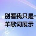 别看我只是一只羊歌词（歌曲别看我只是一只羊歌词展示）