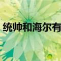 统帅和海尔有啥区别（不同之处有以下几点）