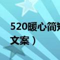 520暖心简短表白文案（有什么520暖心表白文案）