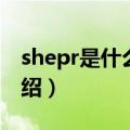 shepr是什么电视品牌（shepr电视品牌的介绍）