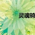 灵魂骑士（关于灵魂骑士介绍）