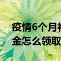 疫情6个月补助金怎么领取（疫情6个月补助金怎么领取介绍）