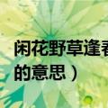 闲花野草逢春生是什么意思（闲花野草逢春生的意思）