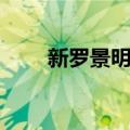 新罗景明王（关于新罗景明王简介）