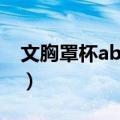 文胸罩杯abc什么区别（文胸罩杯abc的区别）