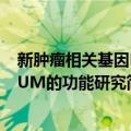 新肿瘤相关基因MUM的功能研究（关于新肿瘤相关基因MUM的功能研究简介）