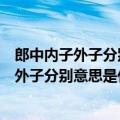 郎中内子外子分别都代表什么含义或者什么意思（郎中内子外子分别意思是什么）