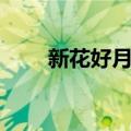 新花好月圆（关于新花好月圆简介）