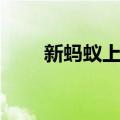 新蚂蚁上树（关于新蚂蚁上树简介）