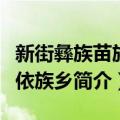 新街彝族苗族布依族乡（关于新街彝族苗族布依族乡简介）