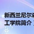 新西兰尼尔森理工学院（关于新西兰尼尔森理工学院简介）