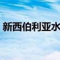 新西伯利亚水库（关于新西伯利亚水库简介）