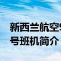 新西兰航空901号班机（关于新西兰航空901号班机简介）