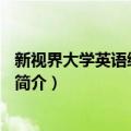 新视界大学英语综合训练4（关于新视界大学英语综合训练4简介）