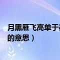 月黑雁飞高单于夜遁逃的意思（诗句月黑雁飞高单于夜遁逃的意思）