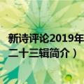 新诗评论2019年 总第二十三辑（关于新诗评论2019年 总第二十三辑简介）