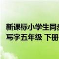 新课标小学生同步写字五年级 下册（关于新课标小学生同步写字五年级 下册简介）