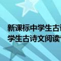 新课标中学生古诗文阅读专项训练举一反三（关于新课标中学生古诗文阅读专项训练举一反三简介）