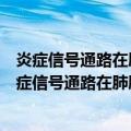 炎症信号通路在肺肿瘤发生过程的作用和机理研究（关于炎症信号通路在肺肿瘤发生过程的作用和机理研究介绍）