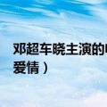 邓超车晓主演的电视剧（邓超车晓主演的钻石王老五的艰难爱情）