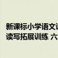 新课标小学语文读写拓展训练 六年级（关于新课标小学语文读写拓展训练 六年级简介）