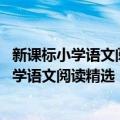 新课标小学语文阅读精选：阅读分析 六年级（关于新课标小学语文阅读精选：阅读分析 六年级简介）