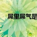 屌里屌气是什么意思（什么是屌里屌气）