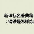 新课标名著典藏：钢铁是怎样炼成的（关于新课标名著典藏：钢铁是怎样炼成的简介）