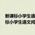 新课标小学生语文阅读与写作高效训练：5年级（关于新课标小学生语文阅读与写作高效训练：5年级简介）