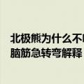 北极熊为什么不吃企鹅脑筋急转弯（北极熊为什么不吃企鹅脑筋急转弯解释）