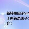 新转录因子SlNAC5在番茄果实成熟中的调控机理研究（关于新转录因子SlNAC5在番茄果实成熟中的调控机理研究简介）