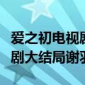 爱之初电视剧大结局谢羽的结局（爱之初电视剧大结局谢羽）