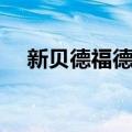 新贝德福德市（关于新贝德福德市简介）