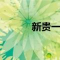 新贵一族（关于新贵一族简介）