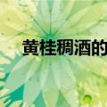 黄桂稠酒的做法（黄桂稠酒的做法介绍）