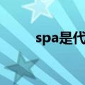 spa是代表什么服务（spa的介绍）