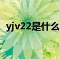 yjv22是什么电缆（关于yjv22电缆的介绍）