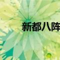 新都八阵图（关于新都八阵图简介）