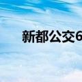 新都公交6路（关于新都公交6路简介）