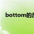 bottom的反义词（bottom是什么意思）