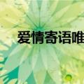 爱情寄语唯美简短（爱情寄语唯美分享）