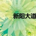 新阳大道站（关于新阳大道站简介）