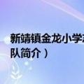 新靖镇金龙小学志愿服务队（关于新靖镇金龙小学志愿服务队简介）