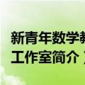 新青年数学教师工作室（关于新青年数学教师工作室简介）