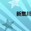 新集川镇（关于新集川镇简介）