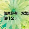 如果你有一双翅膀你会做什么（作文如果你有一双翅膀你会做什么）