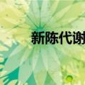 新陈代谢派（关于新陈代谢派简介）