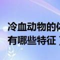 冷血动物的体温有什么特征（冷血动物的体温有哪些特征）