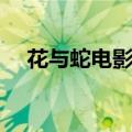 花与蛇电影剧情（花与蛇电影剧情介绍）